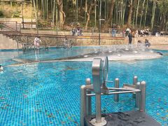 -东明山森林公园