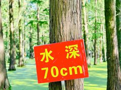 -渌洋湖湿地公园