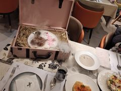 -LE SHARE洛笙·花园西餐(北京路步行街店)