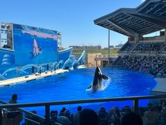 -上海海昌海洋公园