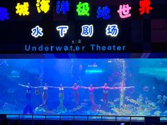 -泉城欧乐堡海洋极地世界