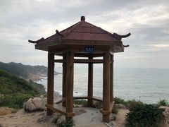 -广东惠东海龟国家级自然保护区