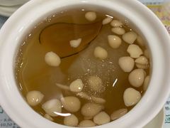 南北杏海底椰炖雪梨-仁信老铺(华盖路店)