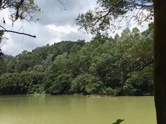 -火炉山森林公园