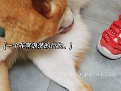 -五进制 Coffee Shop