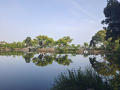-无锡蠡湖国家湿地公园-蠡园