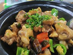 坑螺焗鸡煲-花悦农庄 | 烧鸡·竹筒饭(沙迳高沙温泉香溪堡店)