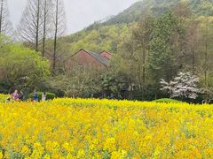 -八卦田遗址公园