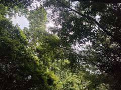 -广州长隆国际大马戏