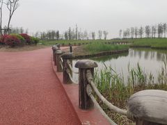 -春花秋色城市公园