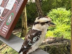 -新加坡飞禽公园