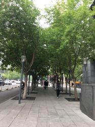 -Tipo Hair salon（明星）店