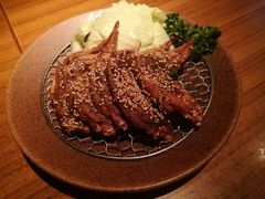 -鸟良(秋葉原店)
