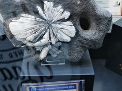 -中国地质大学逸夫博物馆