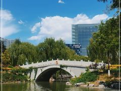 -大兴滨河森林公园