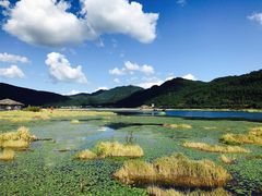 -腾冲北海湿地