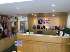 -宠颐生宠物医院·心肾内科·猫专科诊疗中心宠巢店