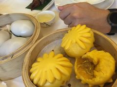 -金汇酒楼(中山东区店)