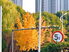 -黄四老鱼馆(尚东国际店)