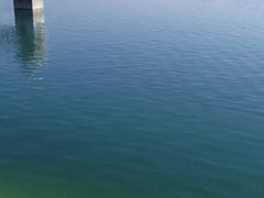 -仙海旅游度假区