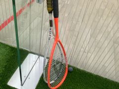 -健身专家Wellness Experts