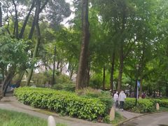 -温江公园