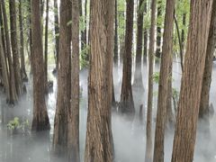-东湖落雁景区