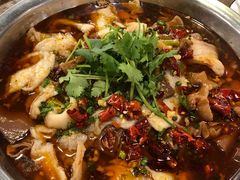 水煮肥肠鱼-毛胡子牛羊餐馆(武宁路店)