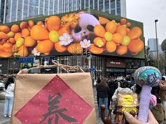 -蜀大侠火锅(总府路店)