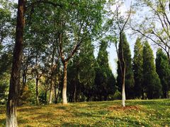 -青龙湖公园