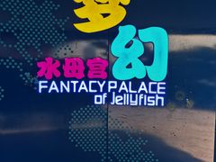 -青岛海底世界-水族馆