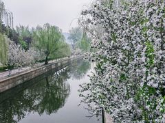 -海棠花溪(元大都城垣遗址公园)