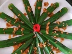 -贝贝乐自营月嫂育儿嫂中心