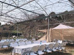 -杭州屏风山越野车营地·团建别墅轰趴民宿