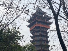 -塔子山公园