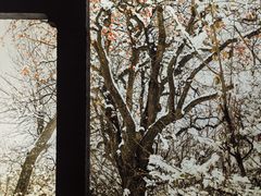 -中国湿地博物馆