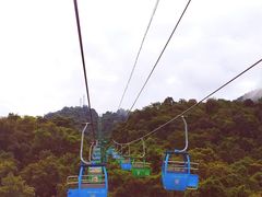 -野象谷景区