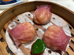 -点都德·毕德寮