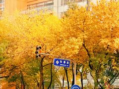 -元大都城垣遗址公园