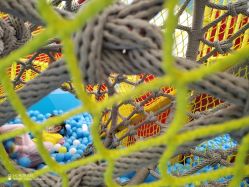 -莫莉幻想儿童乐园(北京天通苑华联店)