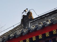 -郭守敬纪念馆
