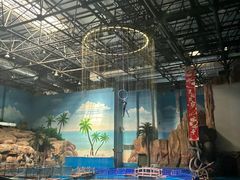 -华夏文旅海洋公园