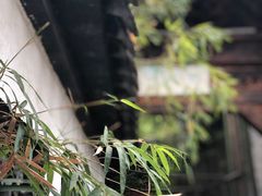 -龙潭水乡