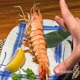 荣新馆（金汇店）|598晚市套餐测评