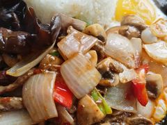 -桉树林A coffee 森林餐厅(三圣乡店)