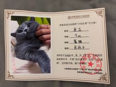-奈斯宠物医院·核磁CT·异宠专科·内镜(中南店)