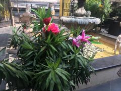 -火车头法国西餐厅