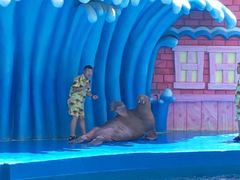 -华夏文旅海洋公园