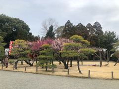 -水前寺成趣园