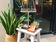 -小洲村